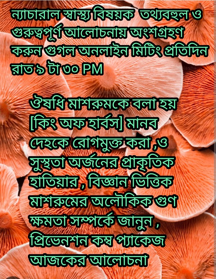 WA_1785398748696